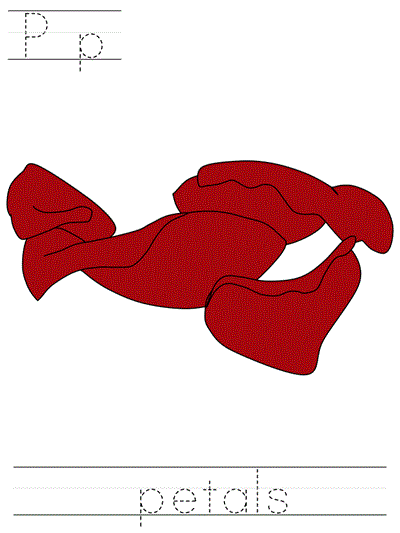 Printable print practice worksheet - Pp petals