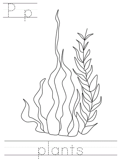 Printable print practice coloring page - Pp plants