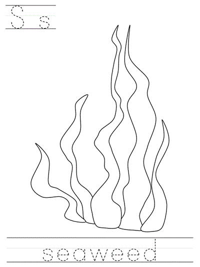 Printable print practice coloring page - Ss seaweed
