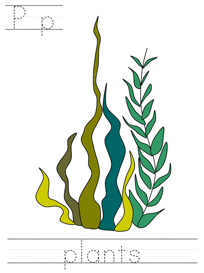 Printable print practice worksheet - Pp plants