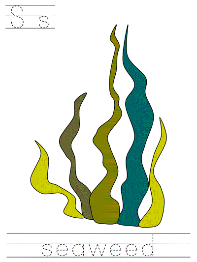 Printable print practice worksheet - Ss seaweed