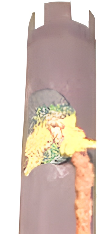 rapunzle with her hair down