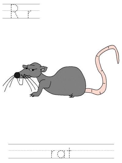 Rr rat tracer page