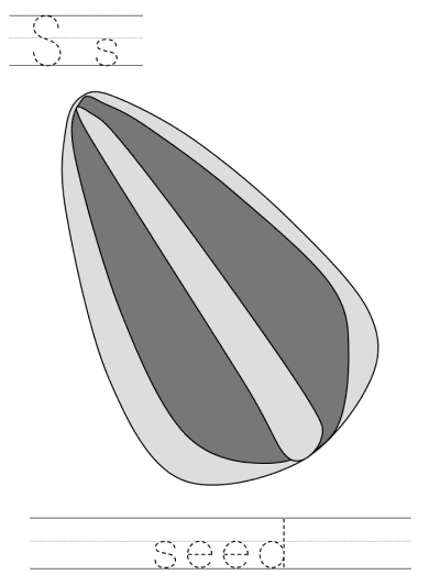 Ss seed tracer page