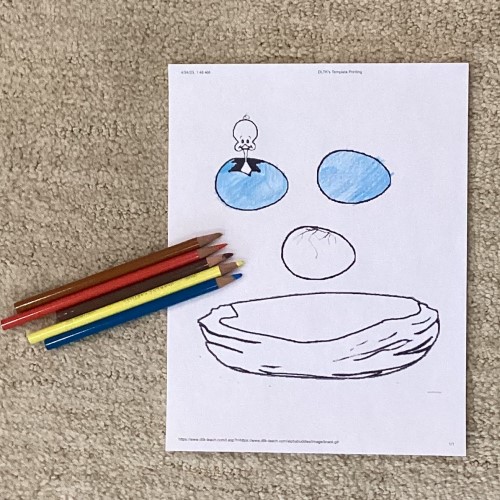 Nest paper craft