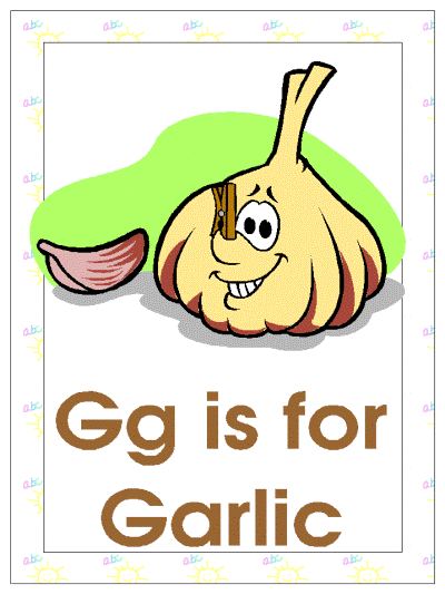 letter g is for garlic alphabet poster