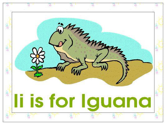 letter i is for iguana alphabet poster