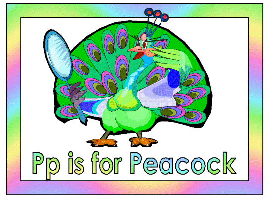 letter p is for peacock alphabet poster