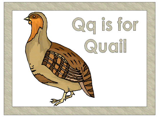 letter q is for quail alphabet poster