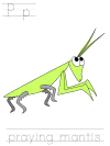 praying mantis tracer page