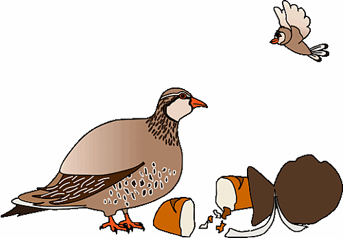 Puss in Boots: partridges