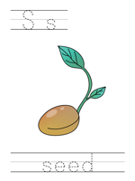 Printable print practice worksheet - Ss seed