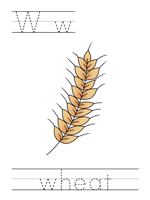 Printable print practice worksheet - Ww wheat