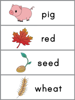 Word Wall Words