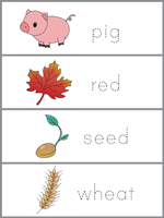 Word Wall Words