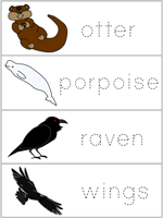Word Wall Words