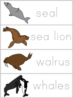 Word Wall Words