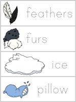 Word Wall Words
