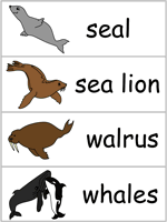 Word Wall Words