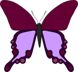 Thumbelina butterfly