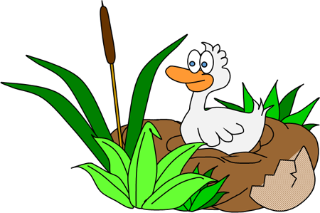 Ugly duckling hatches