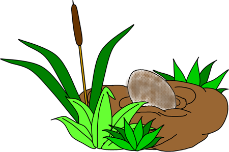 Ugly Duckling egg in a nest