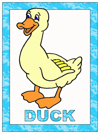duck poster