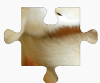 Online Farm Jigsaw Puzzles