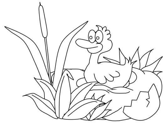 ugly duckling coloring page