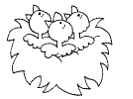 coloring pages