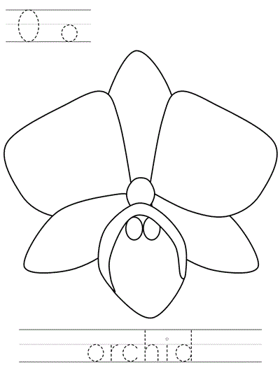 Printable print practice coloring page - Oo orchid