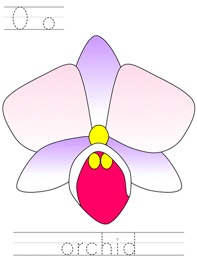 Printable print practice worksheet - Oo orchid