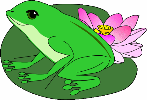 The Princess and the Frog: frog on a lily pad