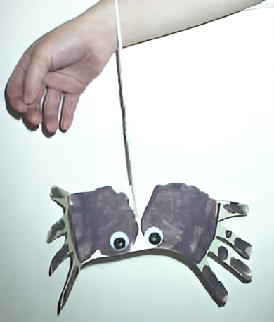 spider craft
