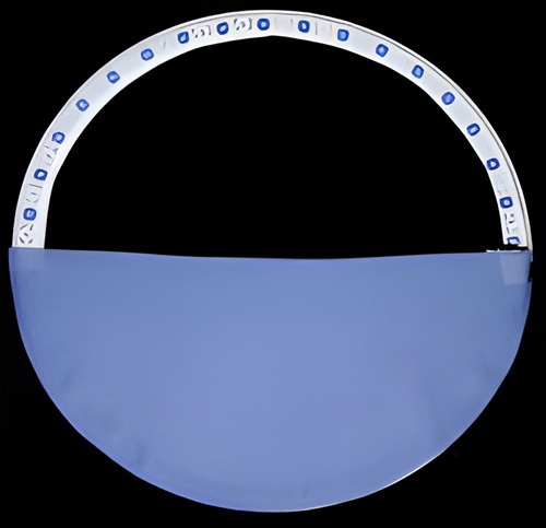 paper plate