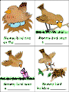 story sequencing cards