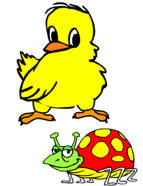 five little chickens