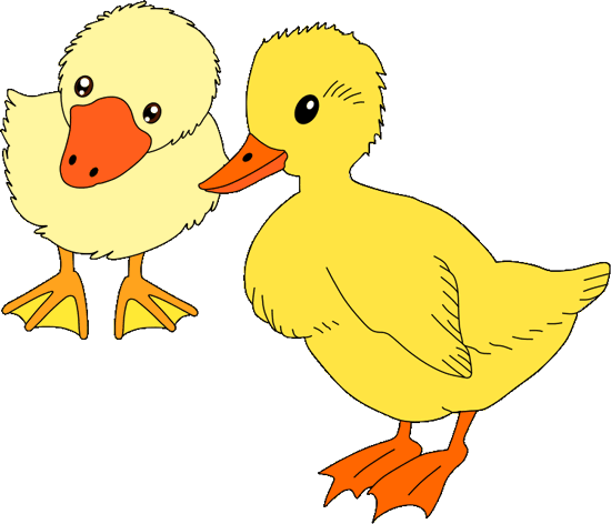 Beauty and the Beast: ducklings