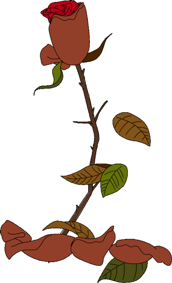 Beauty and the Beast: dying rose