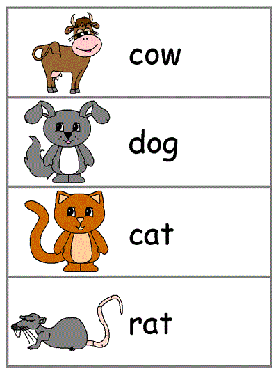 Word Wall Words - cow, dog, cat, rat