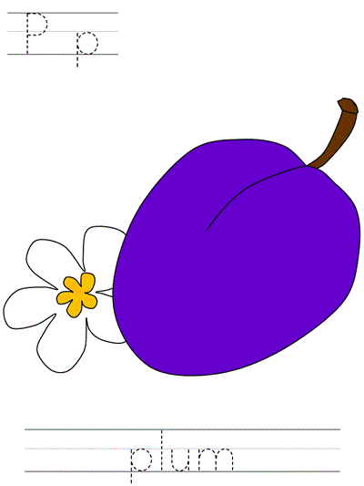 Printable print practice worksheet - Pp plum