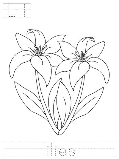 Printable print practice worksheet - Ll lilies