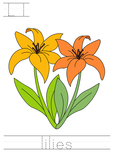 Printable print practice worksheet - Ll lilies