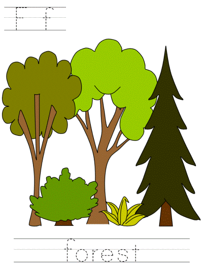 Ff forest tracer page