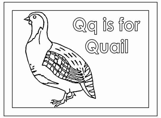 letter q is for quail alphabet coloring page