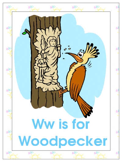 letter w is for woodpecker alphabet poster
