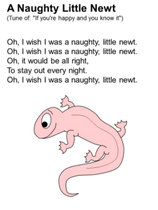 A Naughty Little Newt