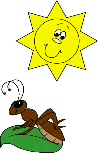 sunshine